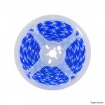 FITA 128 LEDS DIGITAL 24V IP20 12W 8MM BLUE R 5M