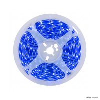 FITA 240 LEDS DIGITAL 24V IP20 12W 10MM BLUE R 5M